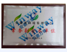 安徽環(huán)境監(jiān)理常務(wù)副會(huì)長(zhǎng)